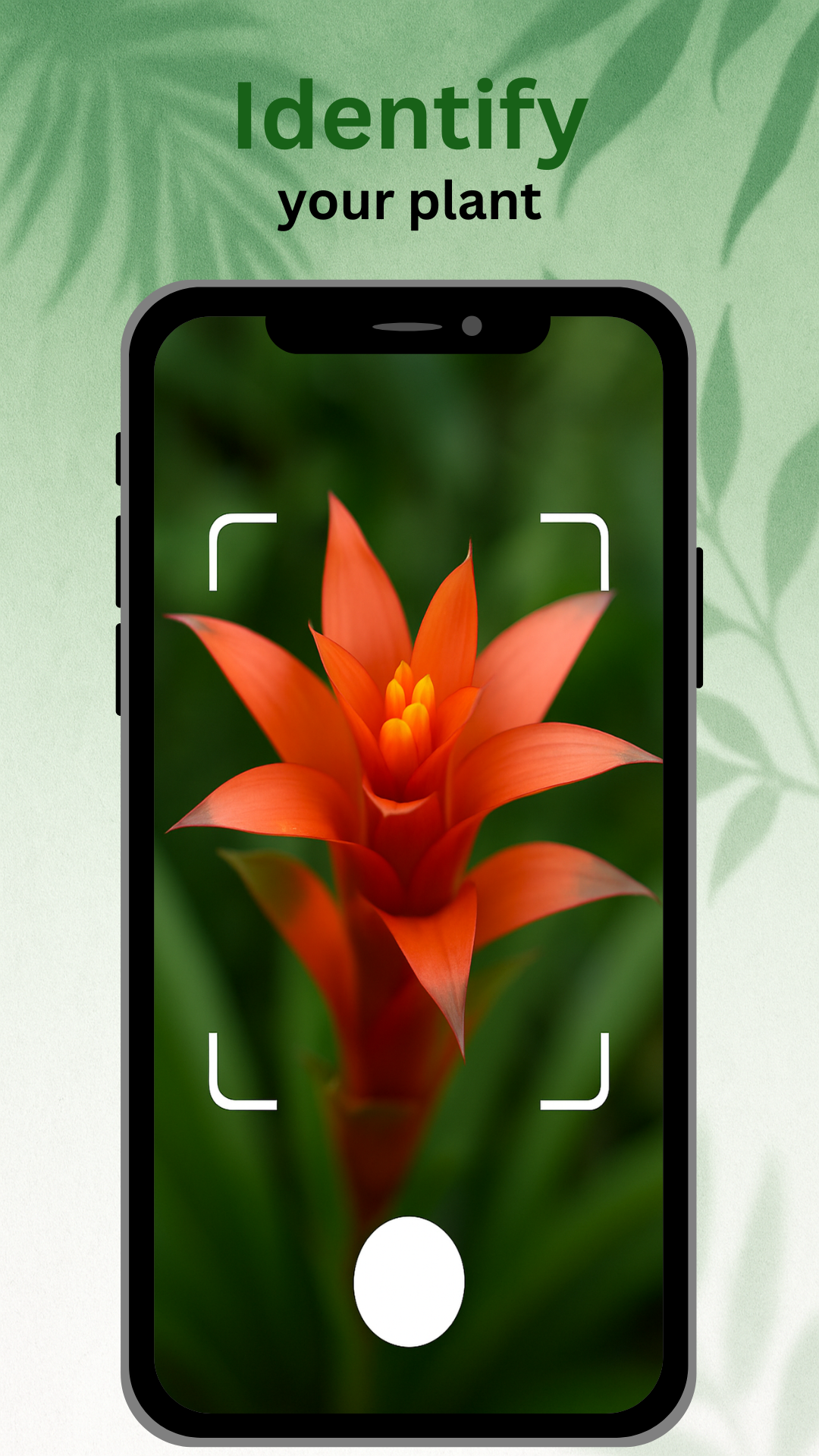 Plant Energy App Screenshot 2