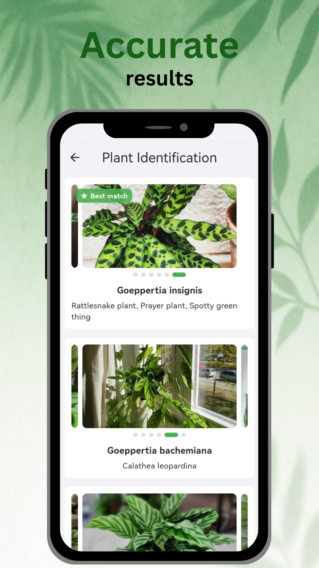 Plant Energy App Screenshot 3